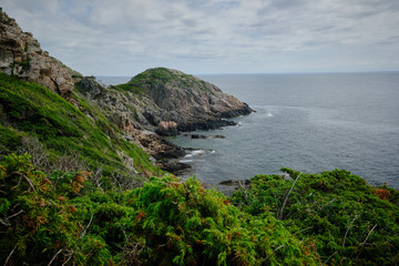 Fototapeta premium Green hills of Kullaberg nature reserve in south Sweden.