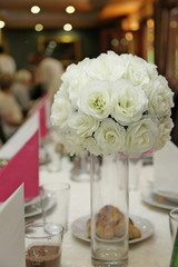 natura, flowers, red, rose, green, orchid