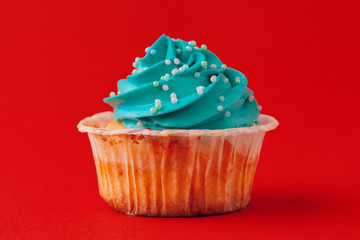 Set of various  fondant cupcakes ready to be eaten - bright and colorful set