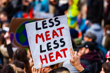 Homemade poster at ecological protest. A close-up shot of a homemade poster, saying less meat less...