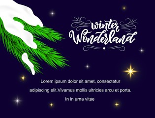 Calligraphy modern lettering Winter wonderland on night sky with with spruce branch with snow and stars