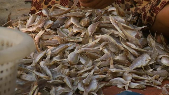 Close-up high-angle still shot of a heap of dried fish being collected by a village woman, Ngapali Beach, Myanmar