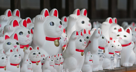 Gotokuji Shrine with lots of cat statues