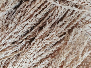 texture of rope