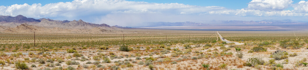 Endless desert straight road next Joshua Tree Park. USA. Long straight tarmac road heading into the desert to the direction of Arizona.