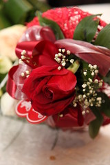 natura, flowers, red, rose, green, orchid