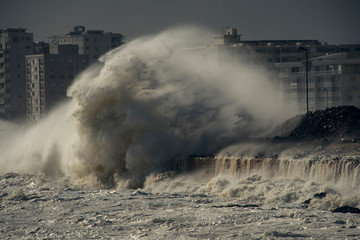 Storm wave impacting sea wall