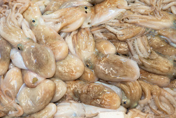 Fish market in Italy. Fresh seafood outdoor mart in Italy.