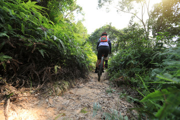 Obraz premium Cross country biking woman cyclist riding mountain bike on tropical forest trail