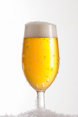 Fresh beer in cold glass with classic shape