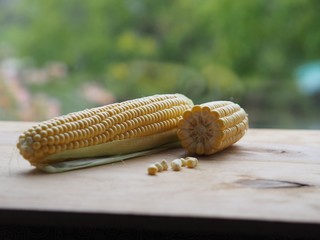 corn