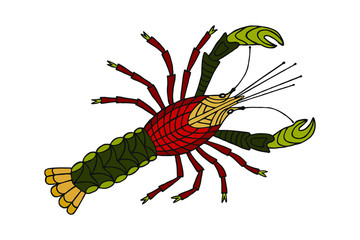 hand-drawn drawing cancer, river, sea animal. vector illustration