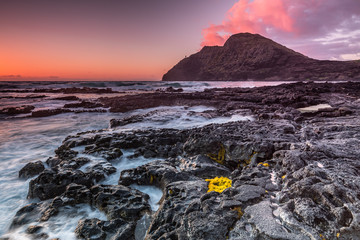 early morning on Kaui, the island in the back got a nice halo