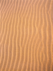 Pattern of wrinkles in sand