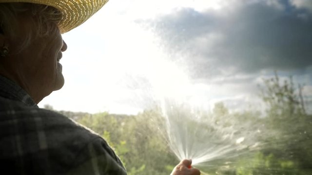 Ederly Woman Farmer Working Watering Field Plants Growing Garden. Harvest Bio Products Fresh Vegetables. 80 Years Old Woman Farmer Working.
