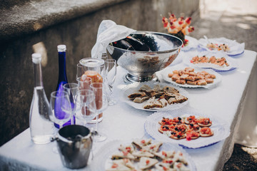 Delicious italian appetizers on table at wedding reception outdoors. Caviar, seafood, canapes, champagne and wine glasses on table at wedding or christmas feast. Luxury catering outdoors