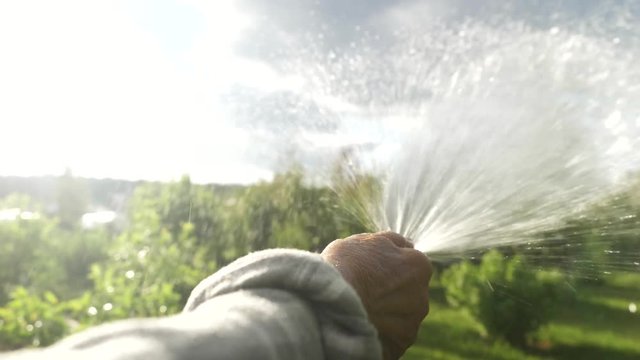 Ederly Woman Farmer Working Watering Field Plants Growing Garden. Harvest Bio Products Fresh Vegetables. 80 Years Old Woman Farmer Working.