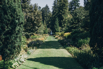 Beautiful green path with old fountain with sparkling water in sunny botanical garden, on Borromean Islands on Lago Maggiore, Stresa city, Italy. Relaxing on on Lago Maggiore.