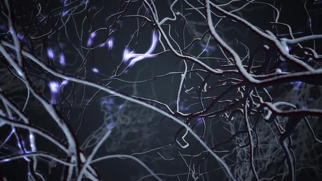 Neurons in brain. Loop. 3D animation of neural network.