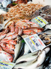 Mixed fish for sale on a market
