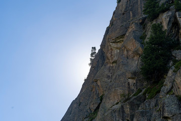 Lone tree on a mountain cliff with sun behind