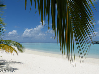 Weißer Sand und Türkises Wasser am Indischen Ozean Strand auf den Malediven © Natascha