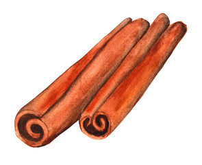 cinnamon sticks isolated on white background