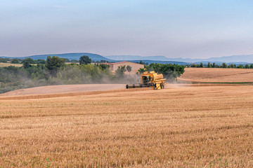 Fototapeta premium Summertime - harvest. Harvester on field at sunset. Modern agriculture equipment. Seasonal works.