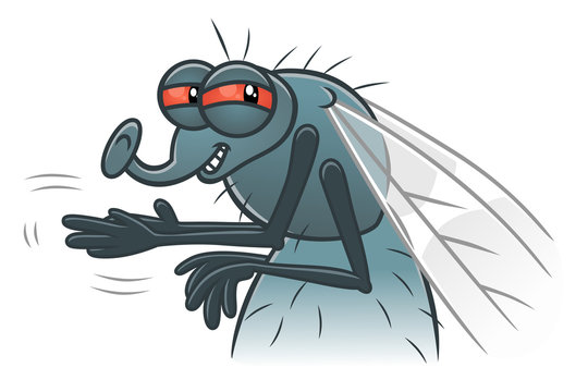 Insect Fly Cartoon Images – Browse 84,383 Stock Photos, Vectors, and Video  | Adobe Stock