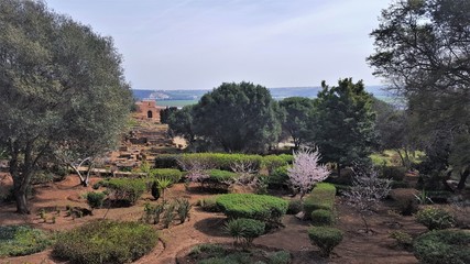 Fototapeta na wymiar Maroc, Jardin de la nécropole de Chellah à Rabat