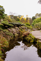 Small river with autumn trees at Japanese Tea Garden, Golden Gate Park, San Francisco.