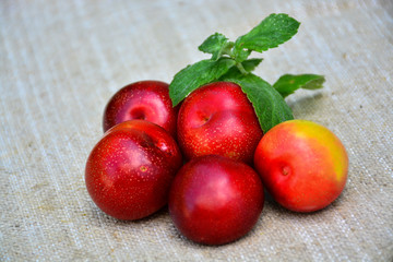  Ripe juicy plum with mint leaves