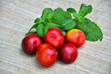 Ripe juicy plum with mint leaves	