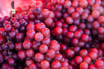 fresh grape fruit. ingredient for making wine