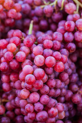 fresh grape fruit. ingredient for making wine
