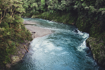 waterfall in the forest