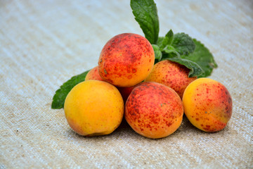 Ripe juicy apricot with mint leaves