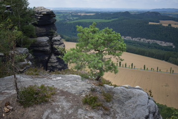 Ausblick Lilienstein © Jan