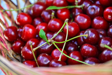 Fresh ripe cherries in wicker basket	