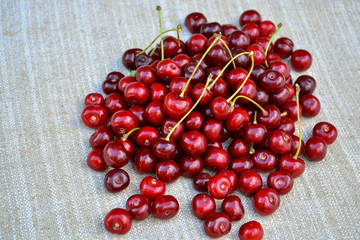 Closeup of a bunch of wet ripe cherry farm.