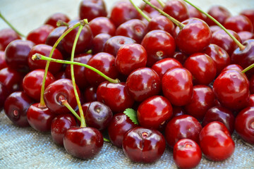 Closeup of a bunch of wet ripe cherry farm.	