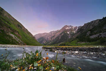 Rivers flowing in the French alps with flowers on the foreground