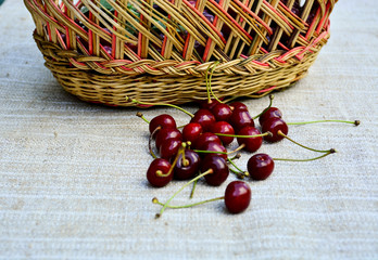  Fresh ripe cherries in wicker basket