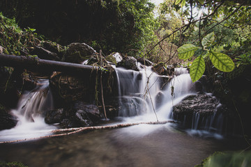 waterfall in the forest