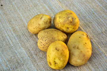  Potatoes. New crop. Food. Vegetables.