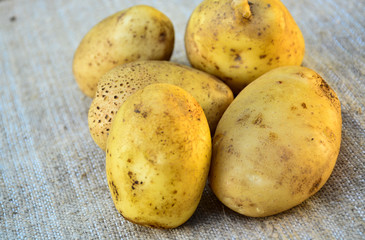 New potato, new crop, isolated.