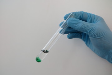 test tube with plastic holded by hand with glove