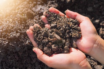 Farmers concept, good soil should have all the nutrients required by the crops.