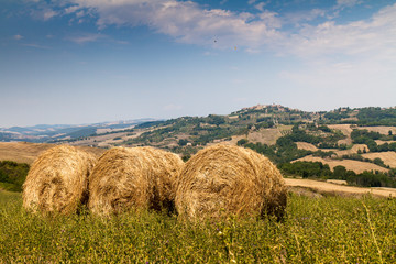 Tuscan hills field of wheat after the harvest with bales of hay with the city of Volterra in the background