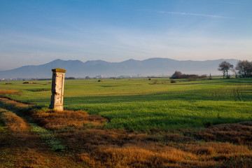Fototapeta na wymiar Tuscan countryside landscape with clear sky